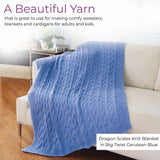 Big Twist Value Pound Plus Yarn