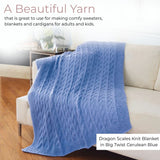 Big Twist Value Pound Plus Yarn