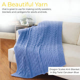 Big Twist Value Pound Plus Yarn