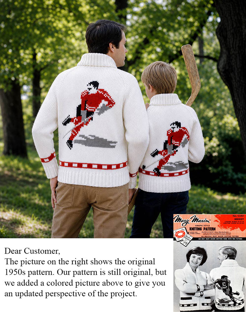 Modèle de cardigan de hockey