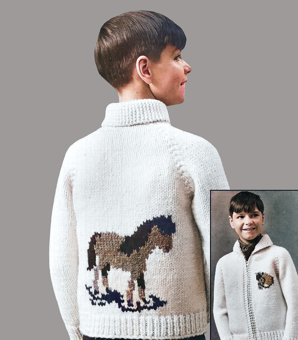 Modèle de cardigan de cheval