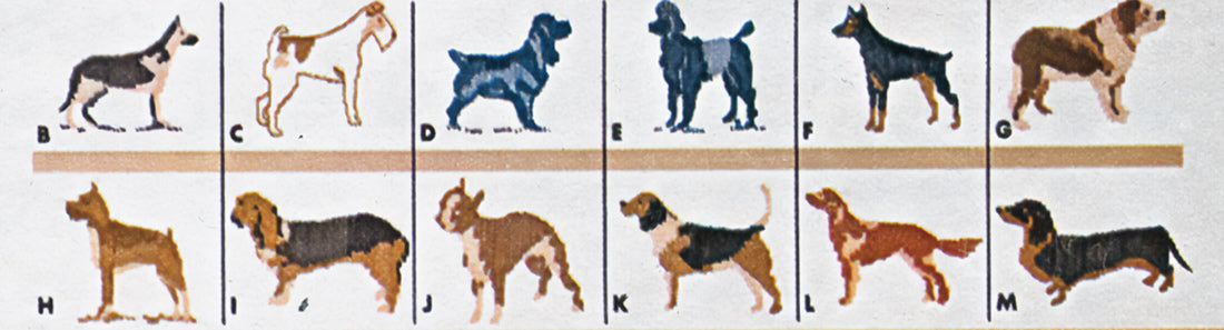Ladies' or Youth's Dog Cardigan Pattern – Mary Maxim