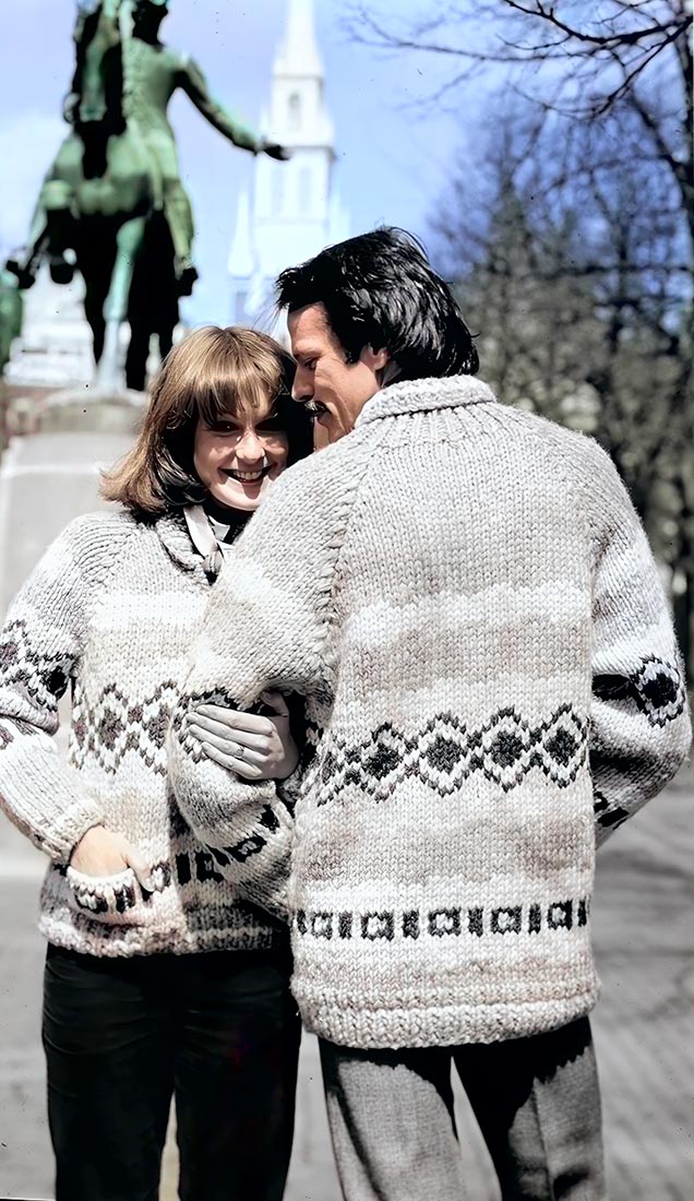 Modèle de pull pour hommes