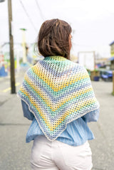 Free Triangle Granny Stitch Shawl Pattern