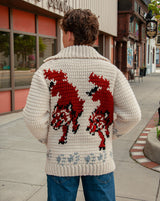 Crochet Wolf Cardigan Kit | Project Hail Mary Fox Sweater