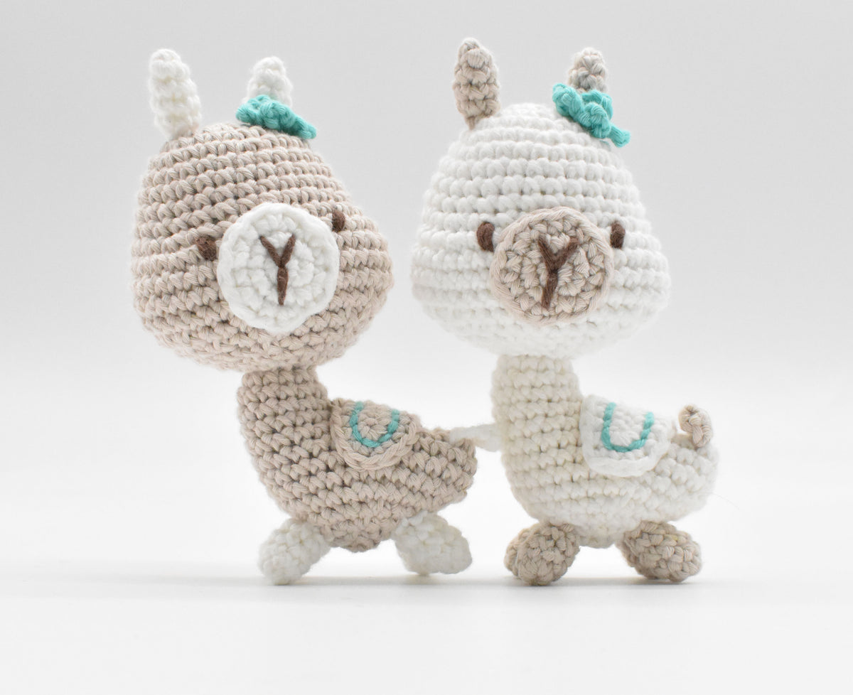 Amitami Andes Crochet Kit
