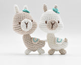Amitami Andes Crochet Kit