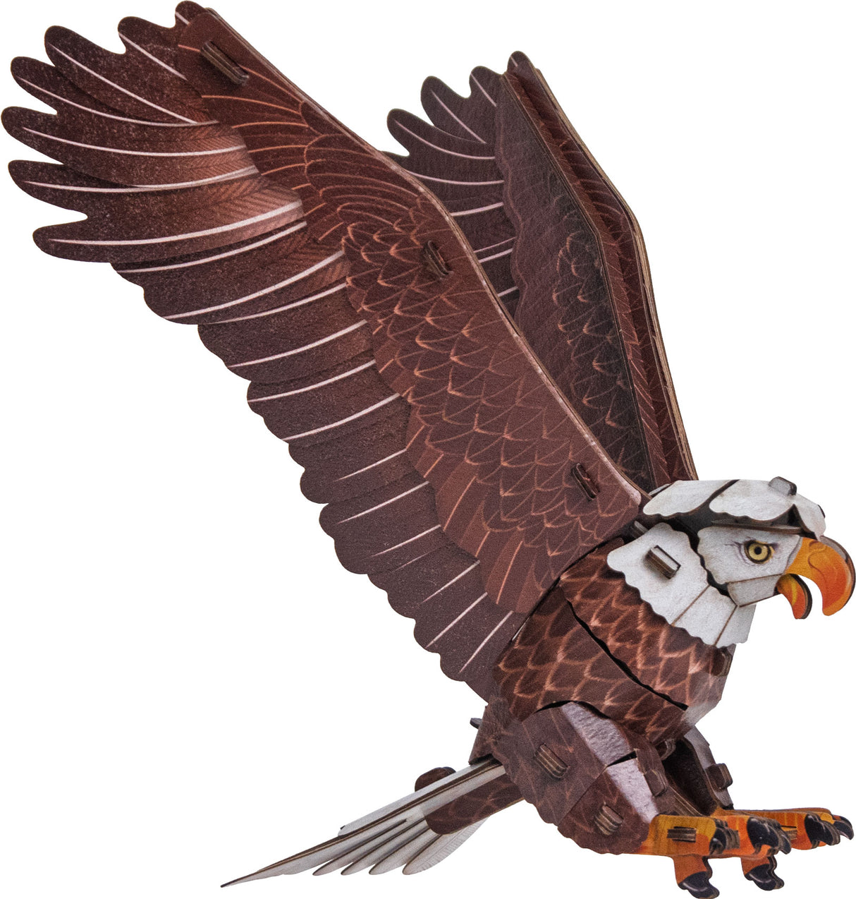 Bald Eagle 3D Bird Puzzle
