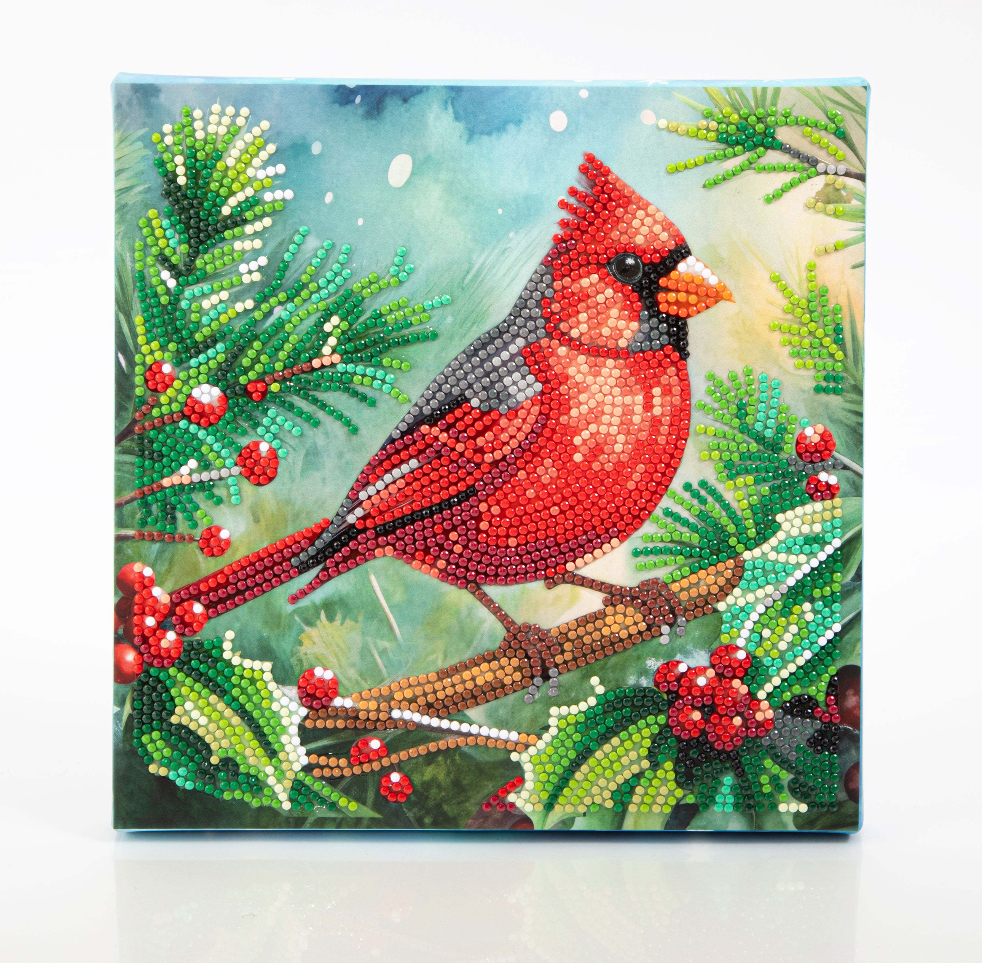 Mox Diamond 4枚セット 日・英　各2 Cardinal and Holly Wall Hanging Diamond Dotz Kit – Mary Maxim