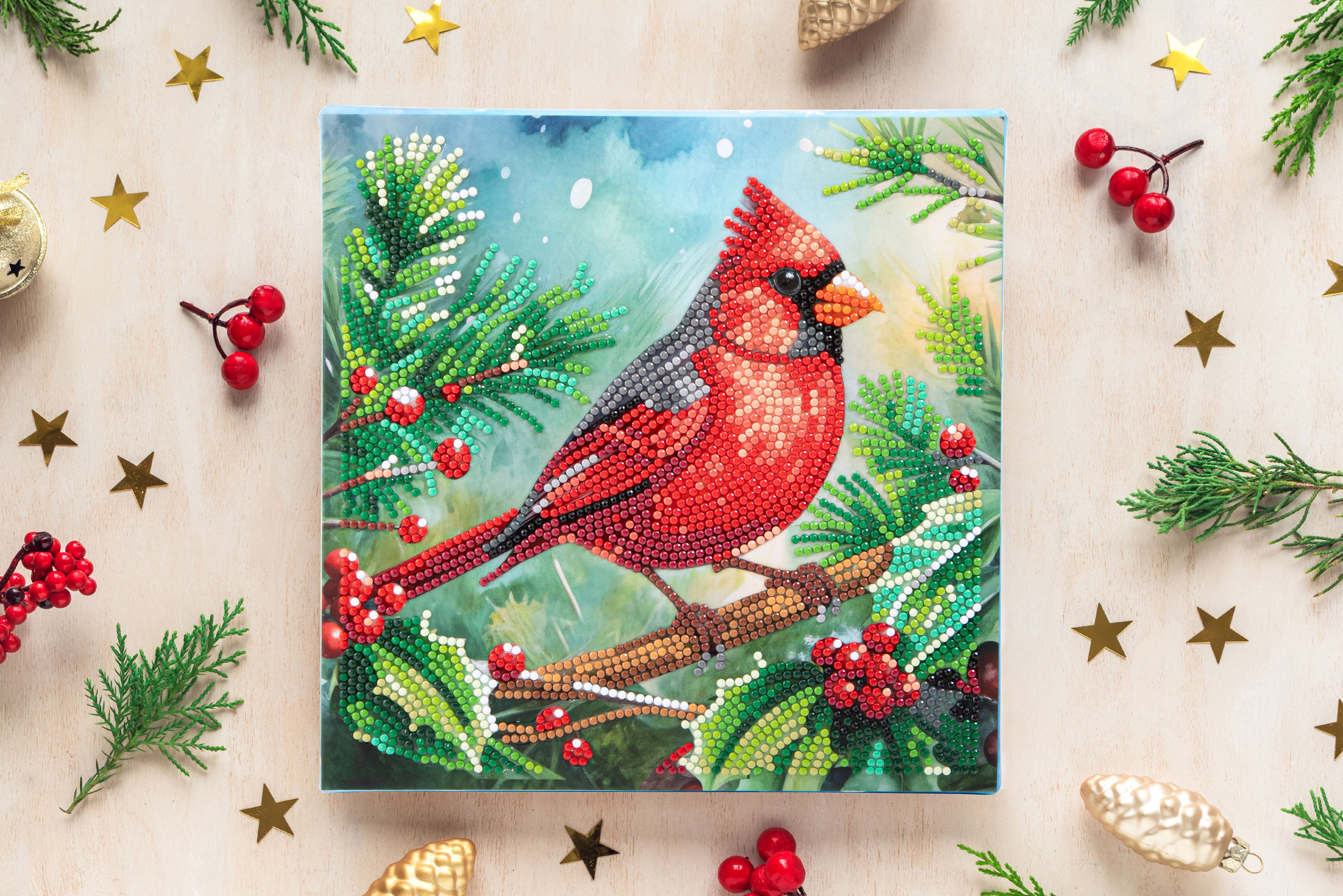 Mox Diamond 4枚セット 日・英　各2 Cardinal and Holly Wall Hanging Diamond Dotz Kit – Mary Maxim