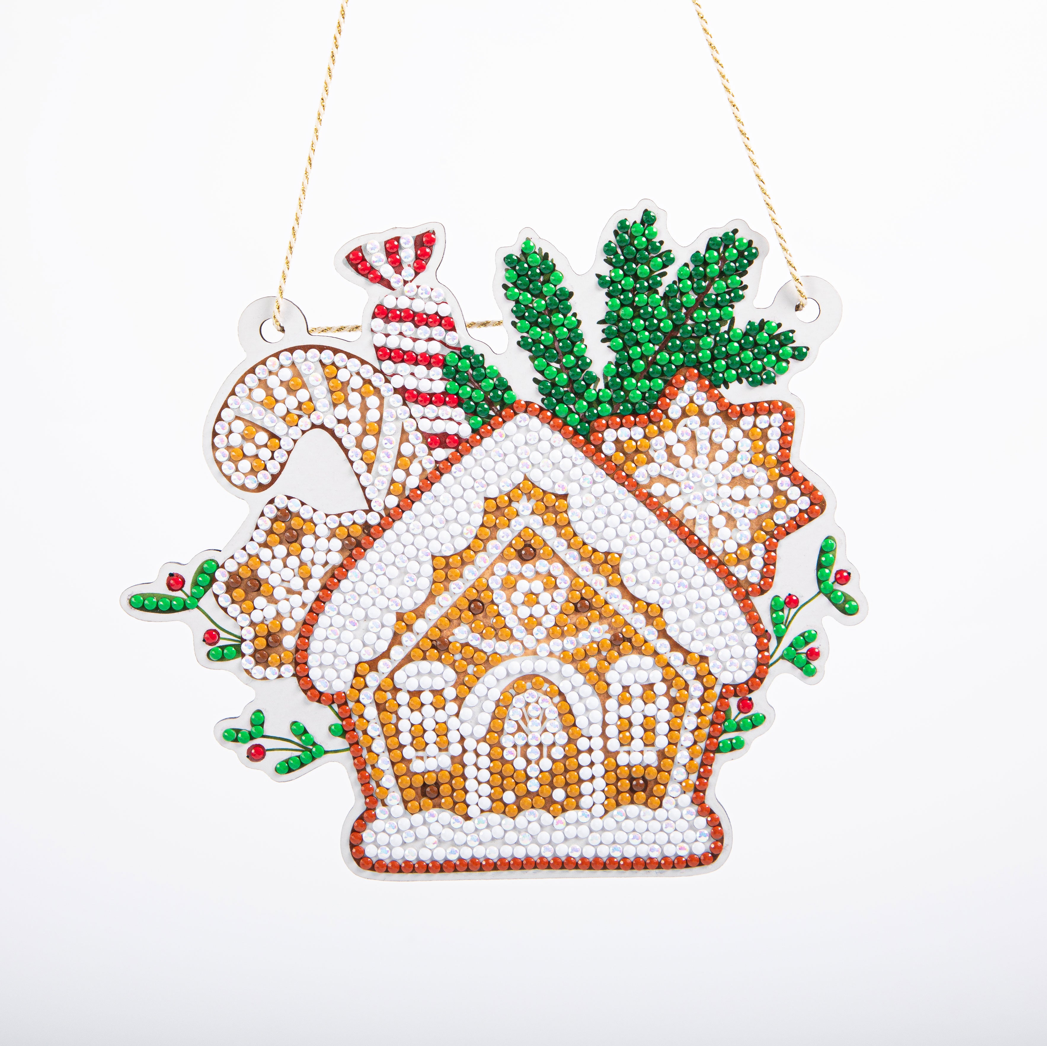 Gingerbread House Wall Plaque Diamond Dotz Kit – Mary Maxim