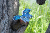 Blue Jay 3D Bird Puzzle