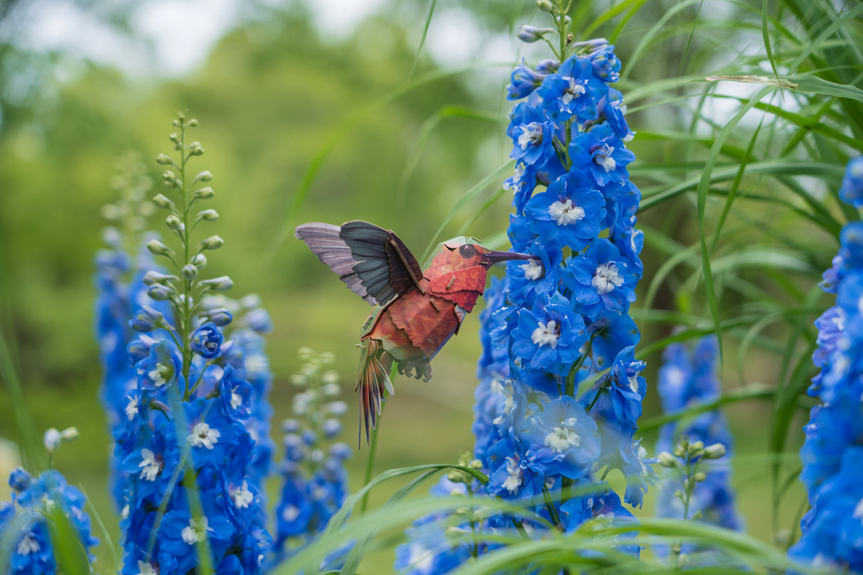 Hummingbird 3D Bird Puzzle