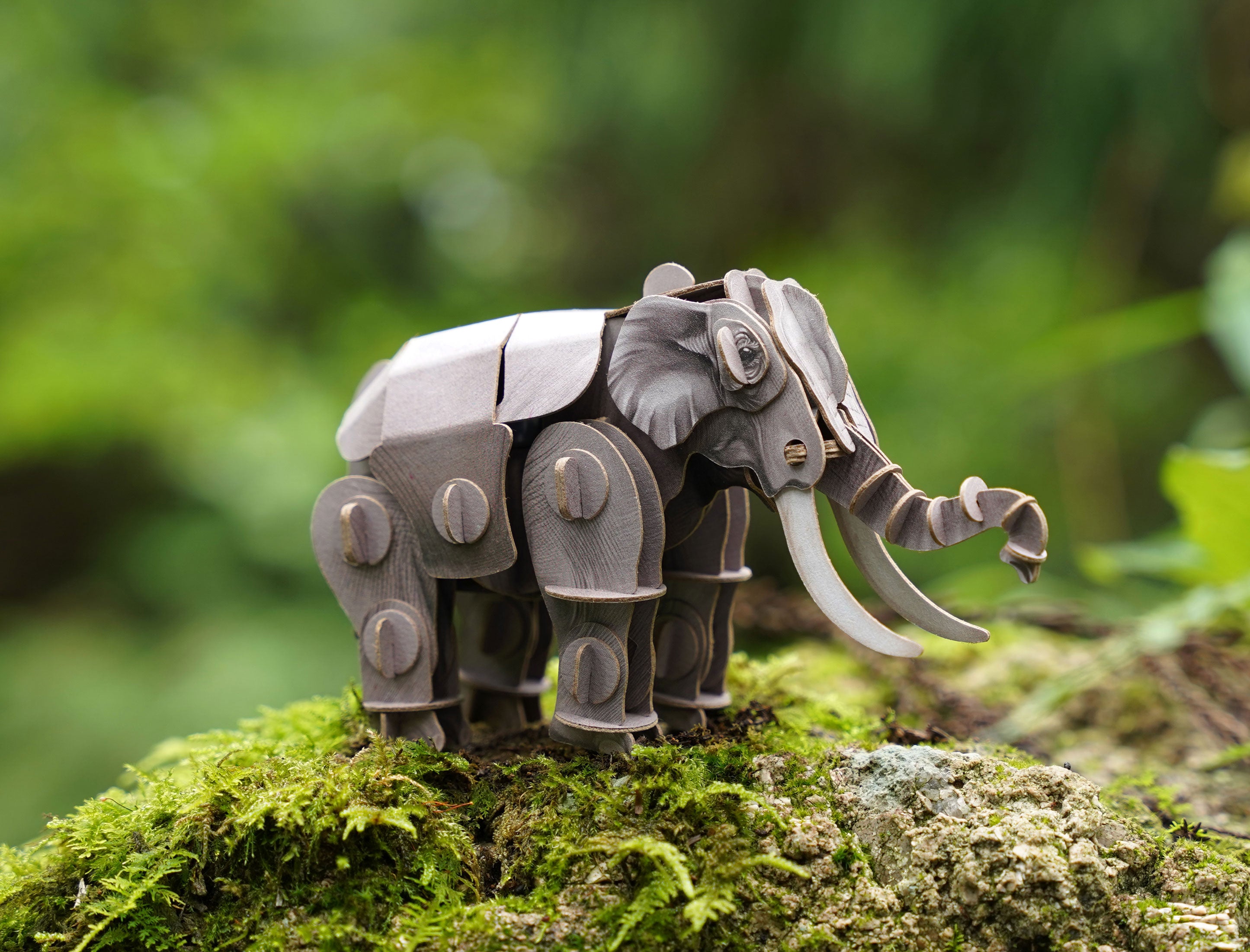 Voices of Nature - Asian Elephant – Mary Maxim