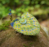 Voices of Nature - Green Peacock