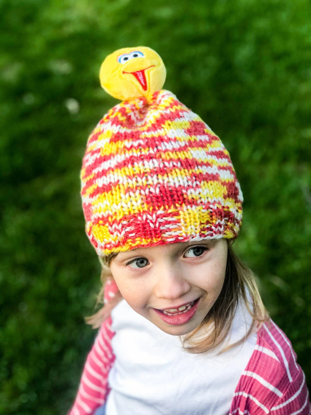 Free Big Bird Knit Hat Pattern