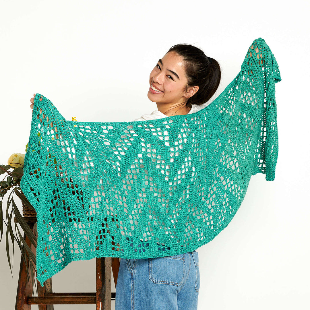 Free Zig Zagging Filet Crochet Shawl Pattern