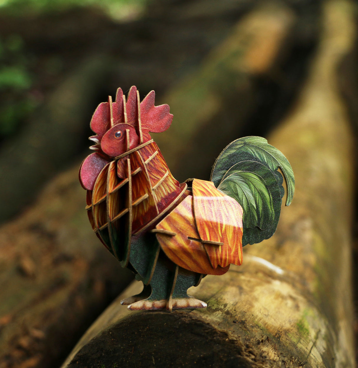 Voices of Nature - Rooster