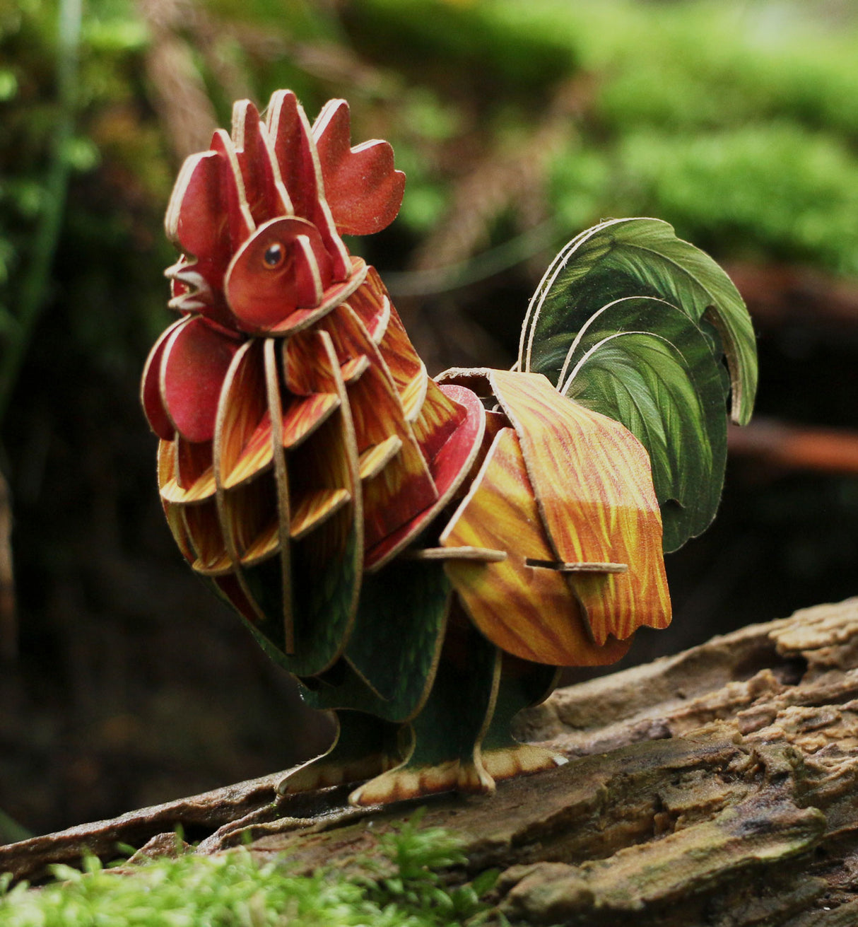 Voices of Nature - Rooster