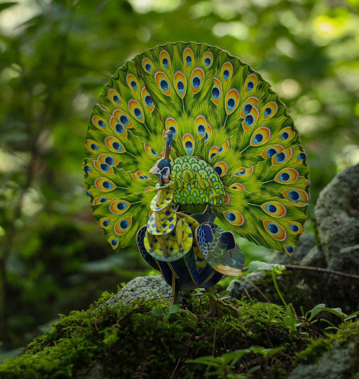 Voices of Nature - Green Peacock