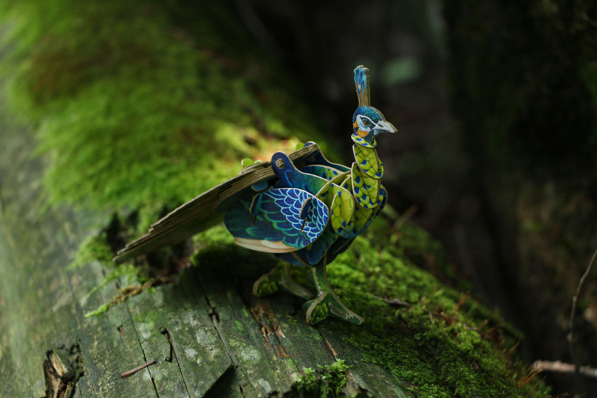 Voices of Nature - Green Peacock