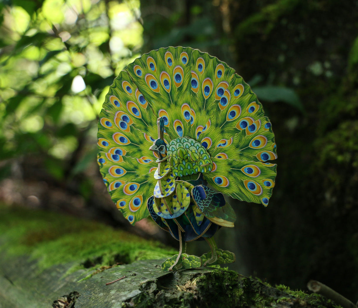 Voices of Nature - Green Peacock