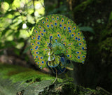 Voices of Nature - Green Peacock