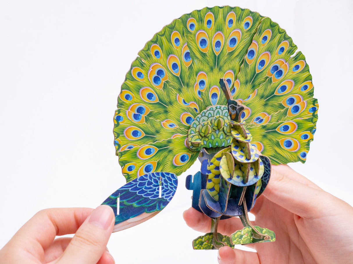 Voices of Nature - Green Peacock