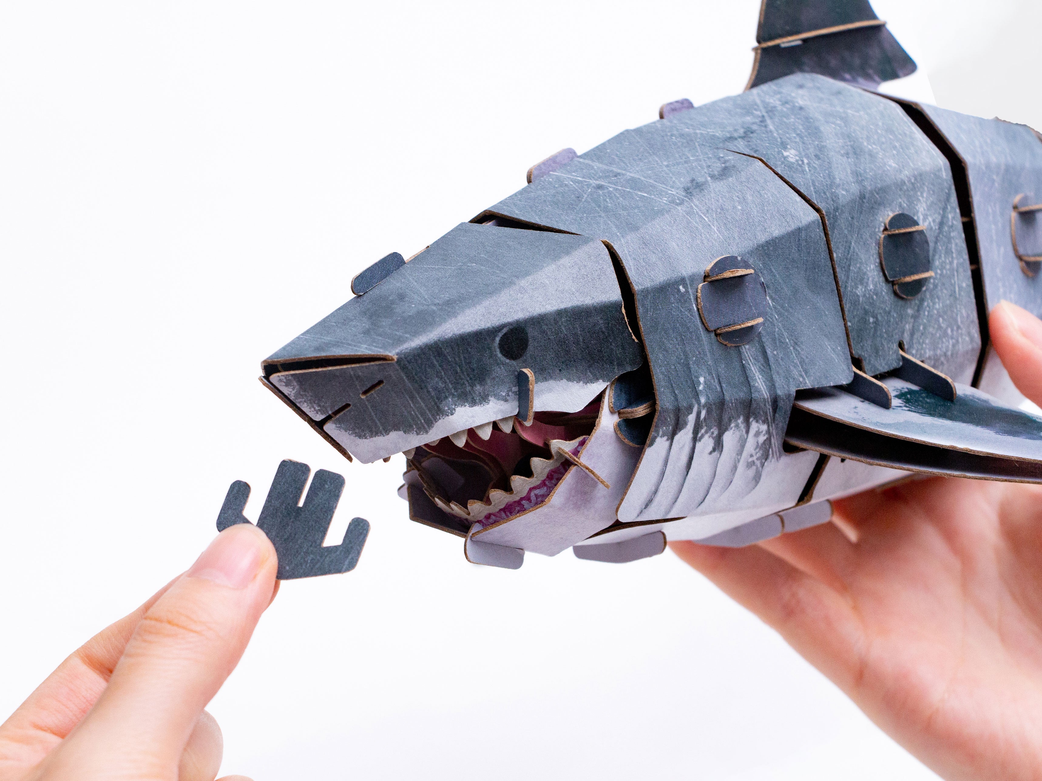 Great White Shark 3D DIY Puzzle – Mary Maxim