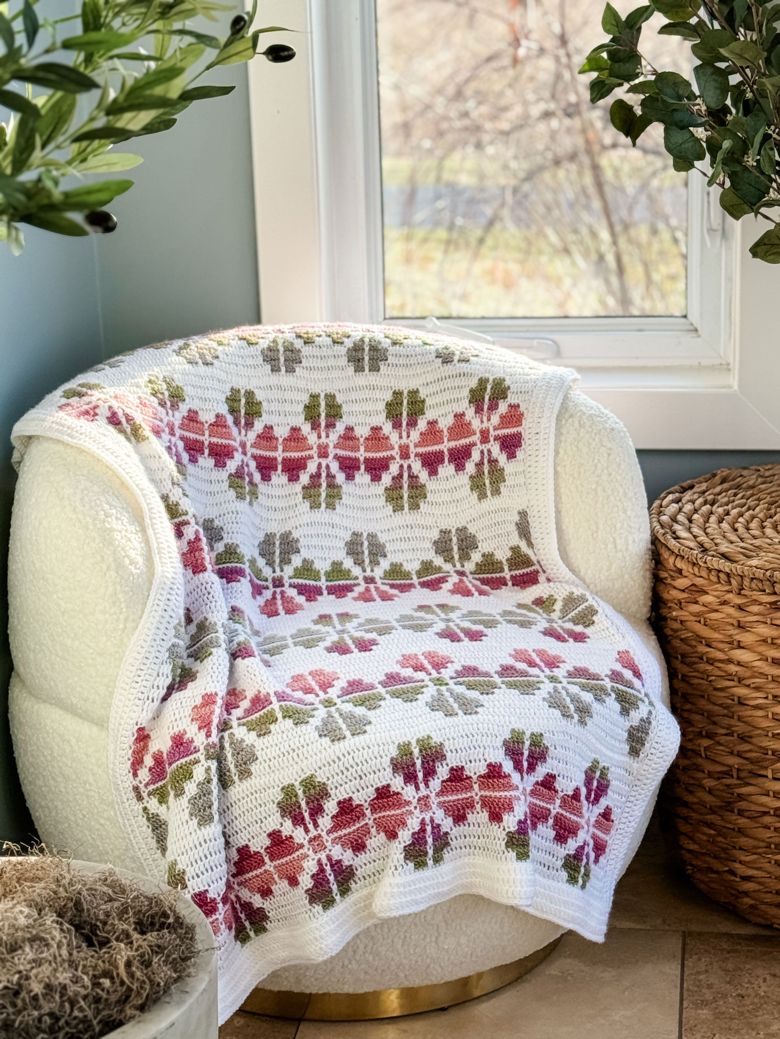 IMG_5088.jpg?v=1721152109