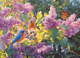 Spring Interlude Jigsaw Puzzle