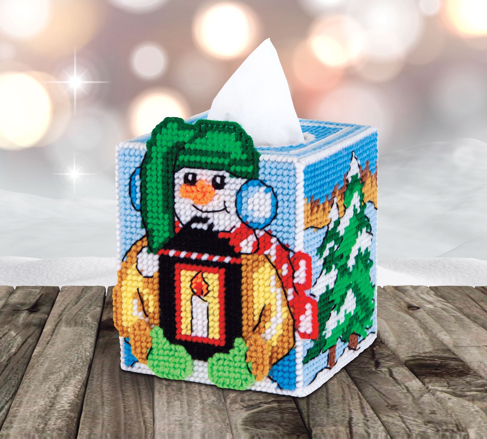 Snowman Lantern Tissue Box Plastic Canvas Kit – Mary Maxim