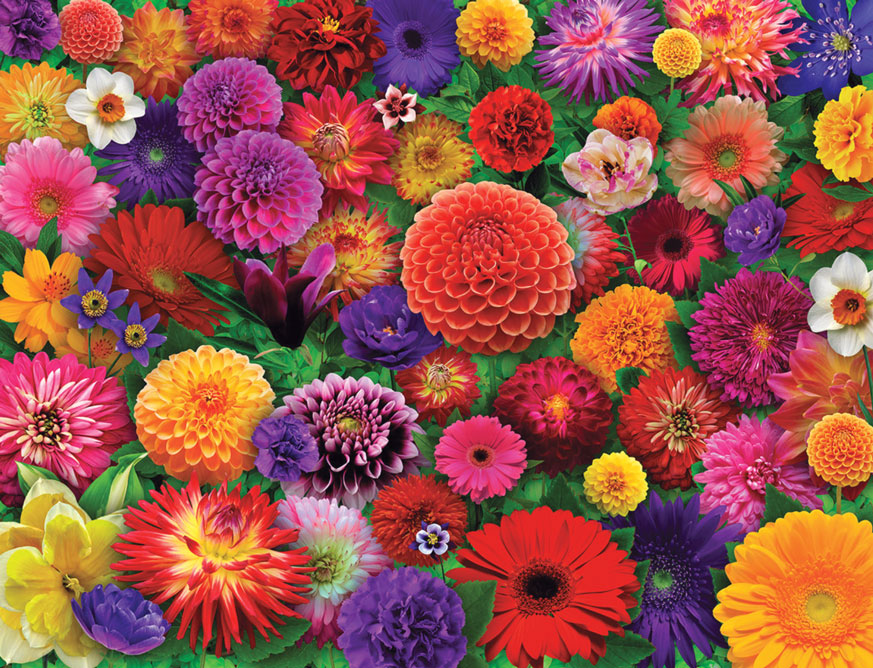 Blooming Every Daisy Jigsaw Puzzle