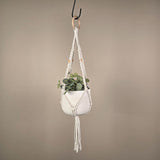 Textured Short Macrame Plant Hanger