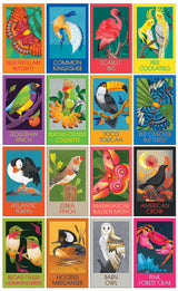 Birds, Butterflies & A Crab 16 in 1 Box Set Jigsaw Puzzles
