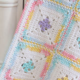 Framed Pastels Baby Blanket