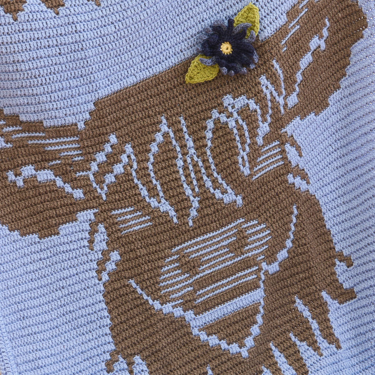 Little Highland Wonder Crochet Baby Blanket