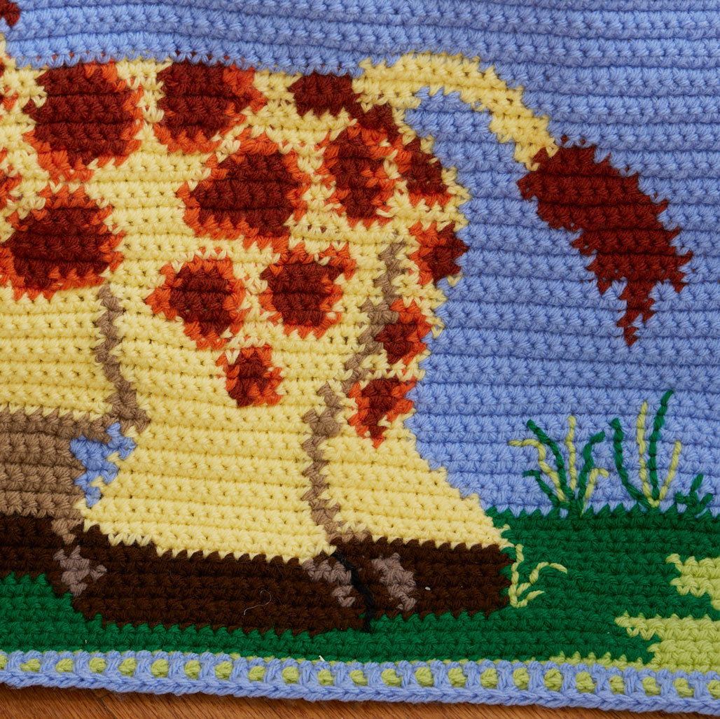 Making Friends Blanket – Mary Maxim