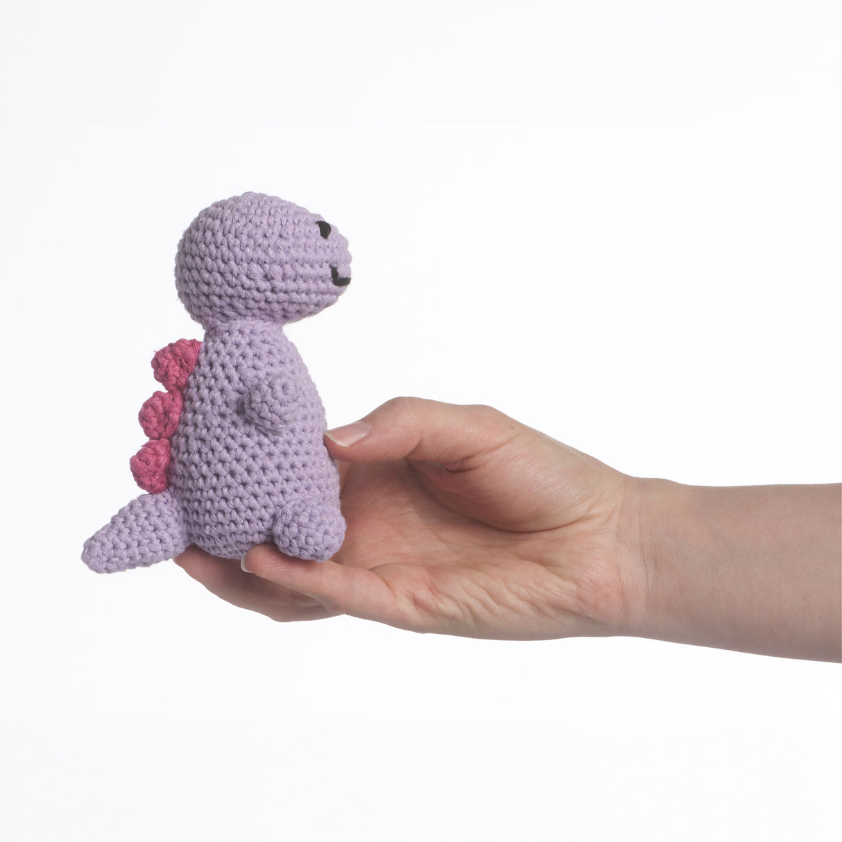 Tiny the T-Rex Amigurumi Kit