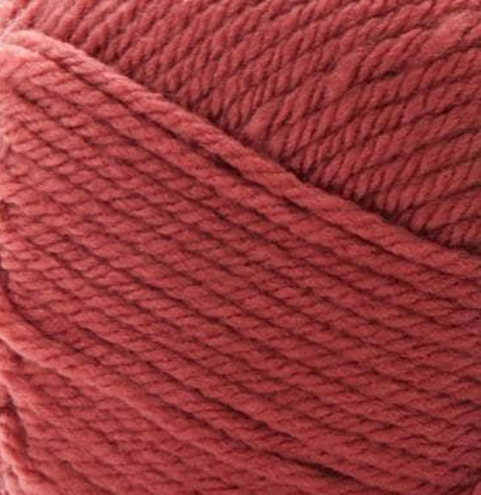Premier Anti-Pilling Everyday Worsted Yarn-Rust, 1 count - Harris