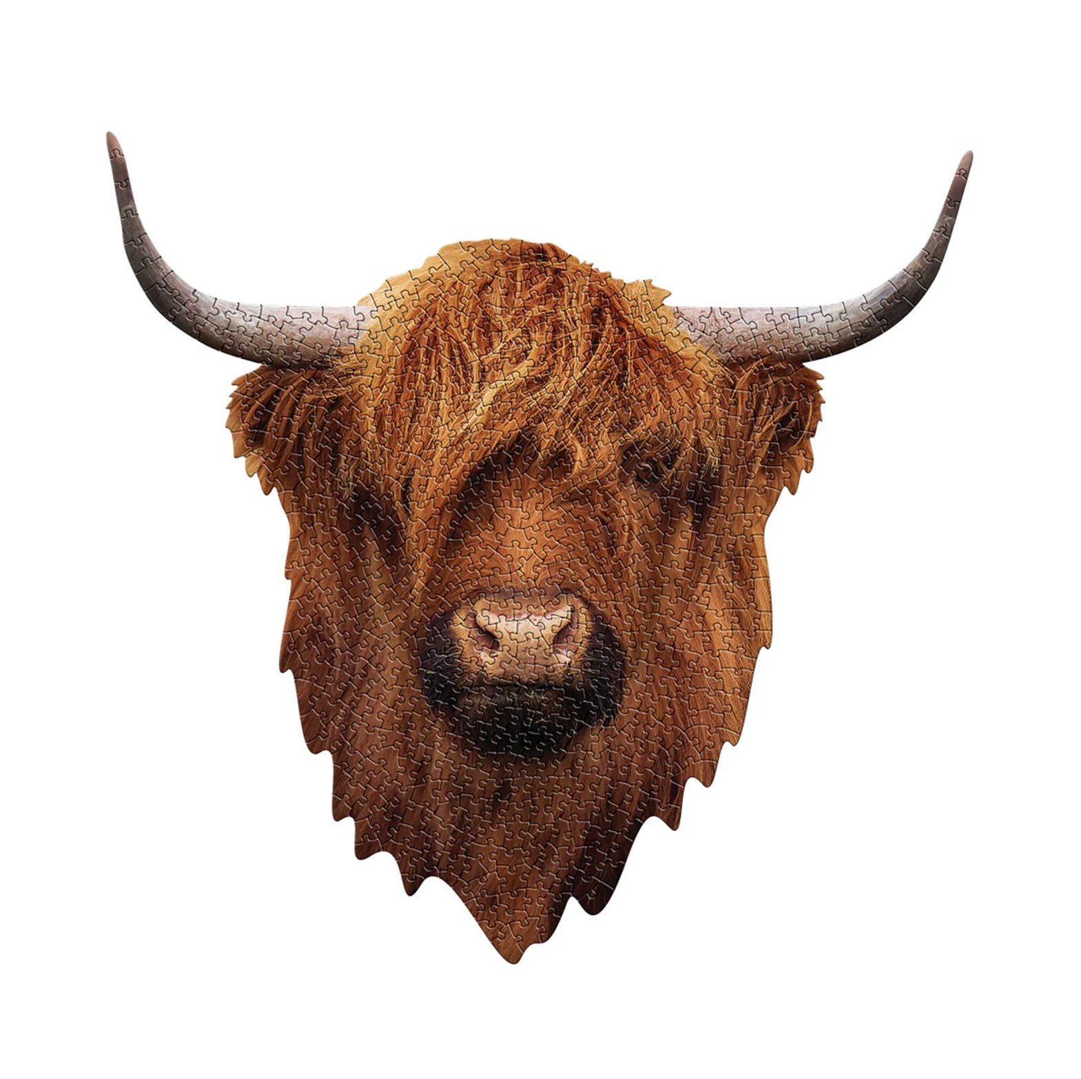 I Am Highland Cow Large Jigsaw Puzzle – Mary Maxim