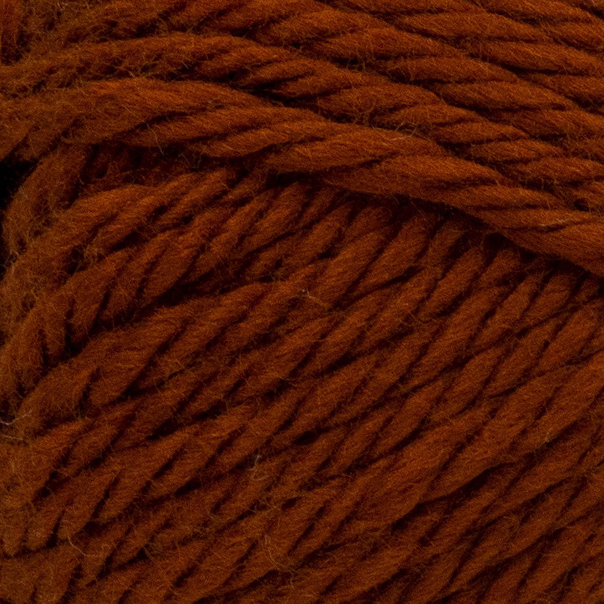 Lion Brand Hometown Yarn