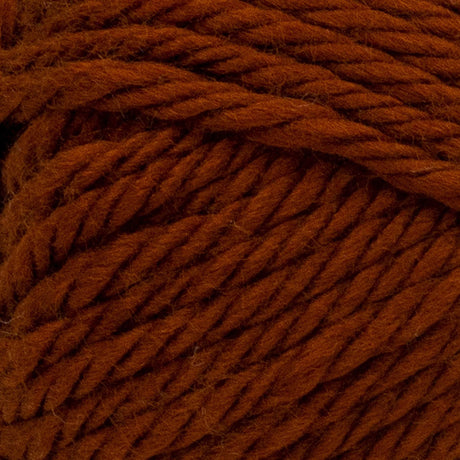Lion Brand Hometown Yarn