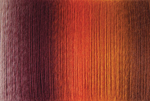 Desert Sunset