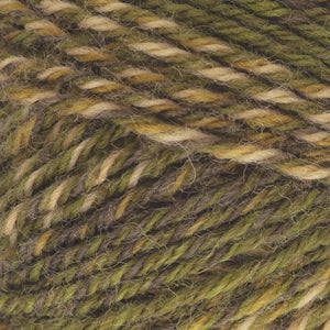 Mossy Colors