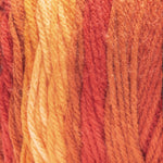 Fil ombré Super Saver Red Heart