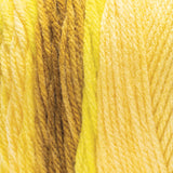 Fil ombré Super Saver Red Heart