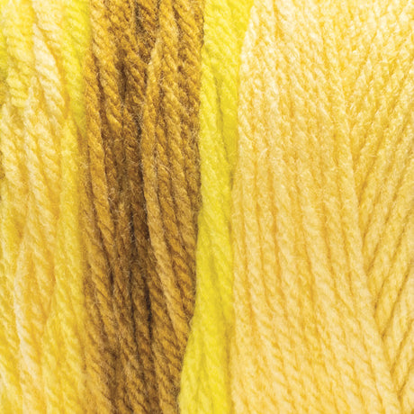 Red Heart Super Saver Ombre Yarn