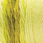 Fil ombré Super Saver Red Heart