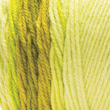 Fil ombré Super Saver Red Heart